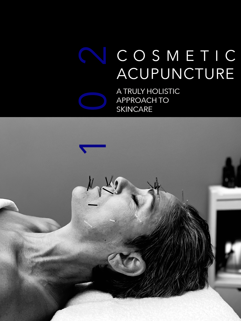 COSMETIC ACUPUNCTURE 102